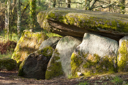 The dolmen of the Lodge with the wolf in Trédion