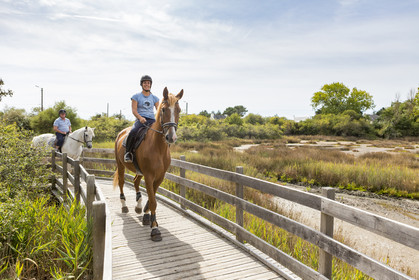 Horseback ride around the marshes of Kerguelen.