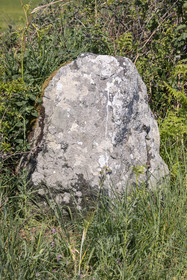 Allée couverte du Net _ Saint-Gildas-de-Rhuys