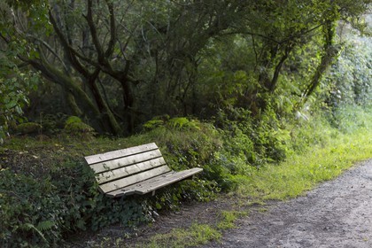 Banc