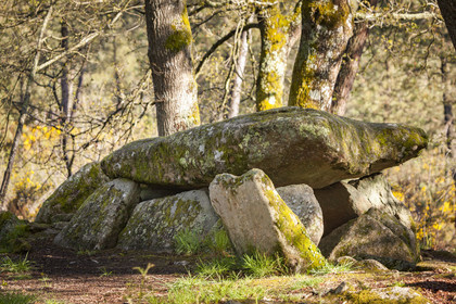 The dolmen of the Lodge with the wolf in Trédion