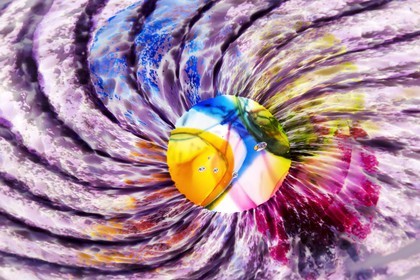 Iris _ Inside Glass