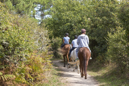 Horseback ride around the marshes of Kerguelen.