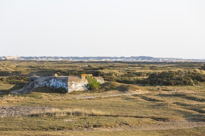 _55a7994