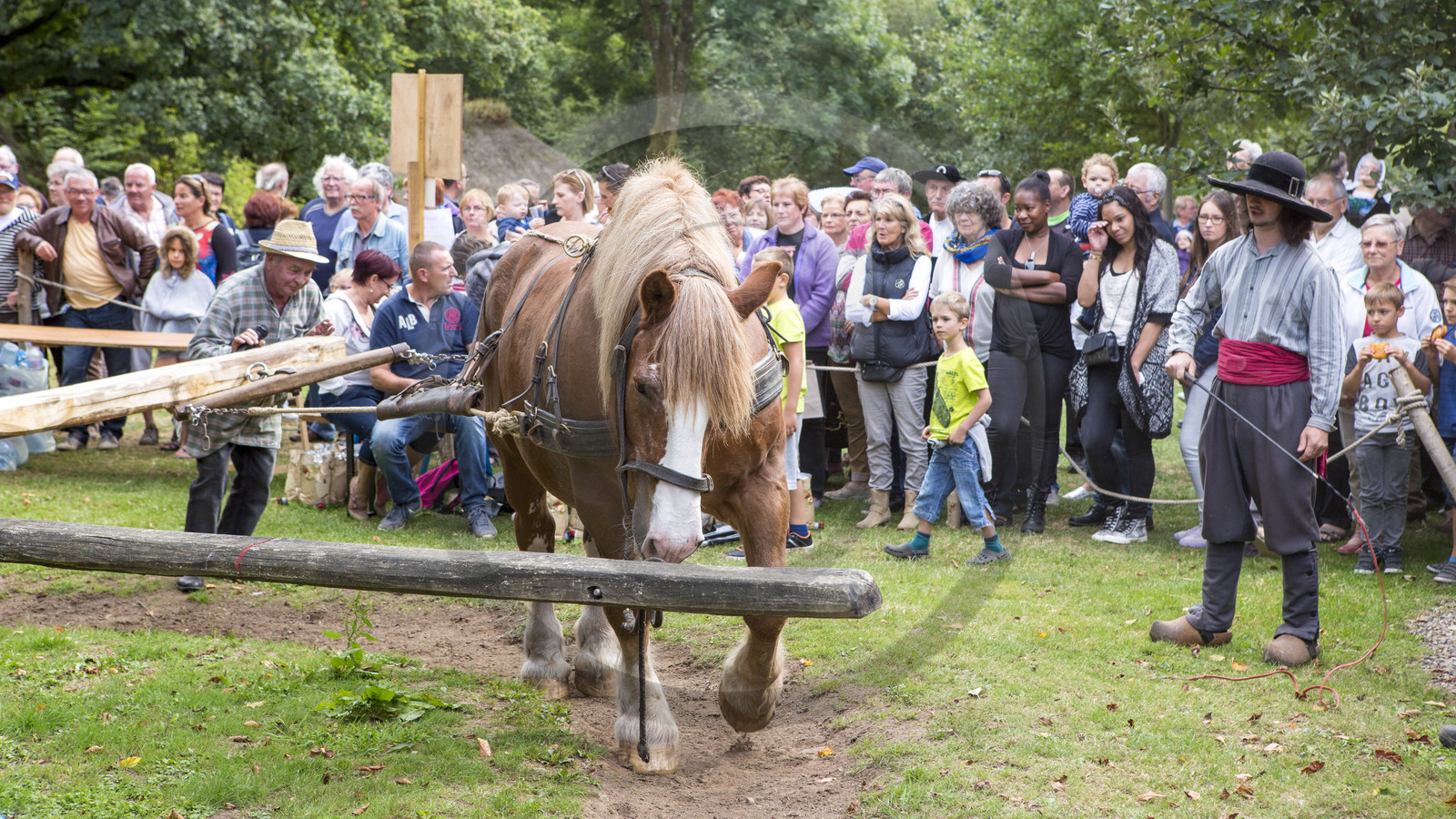 2016_Fête du cidre dans le village de Poul Fétan. Quistinic dans le Morbihan