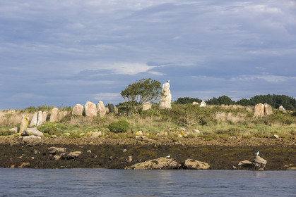 Er Lannic dans le golfe du Morbihan à Arzon