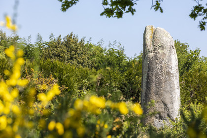 Le menhir de Kermaillard à Sarzeau