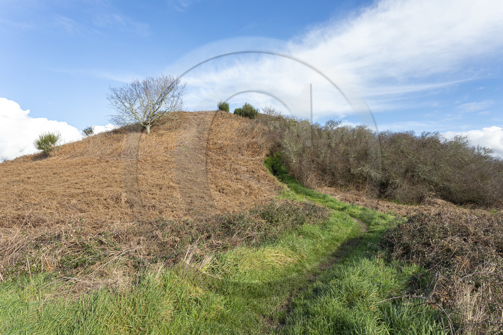 Tumulus de Tumiac à Arzon