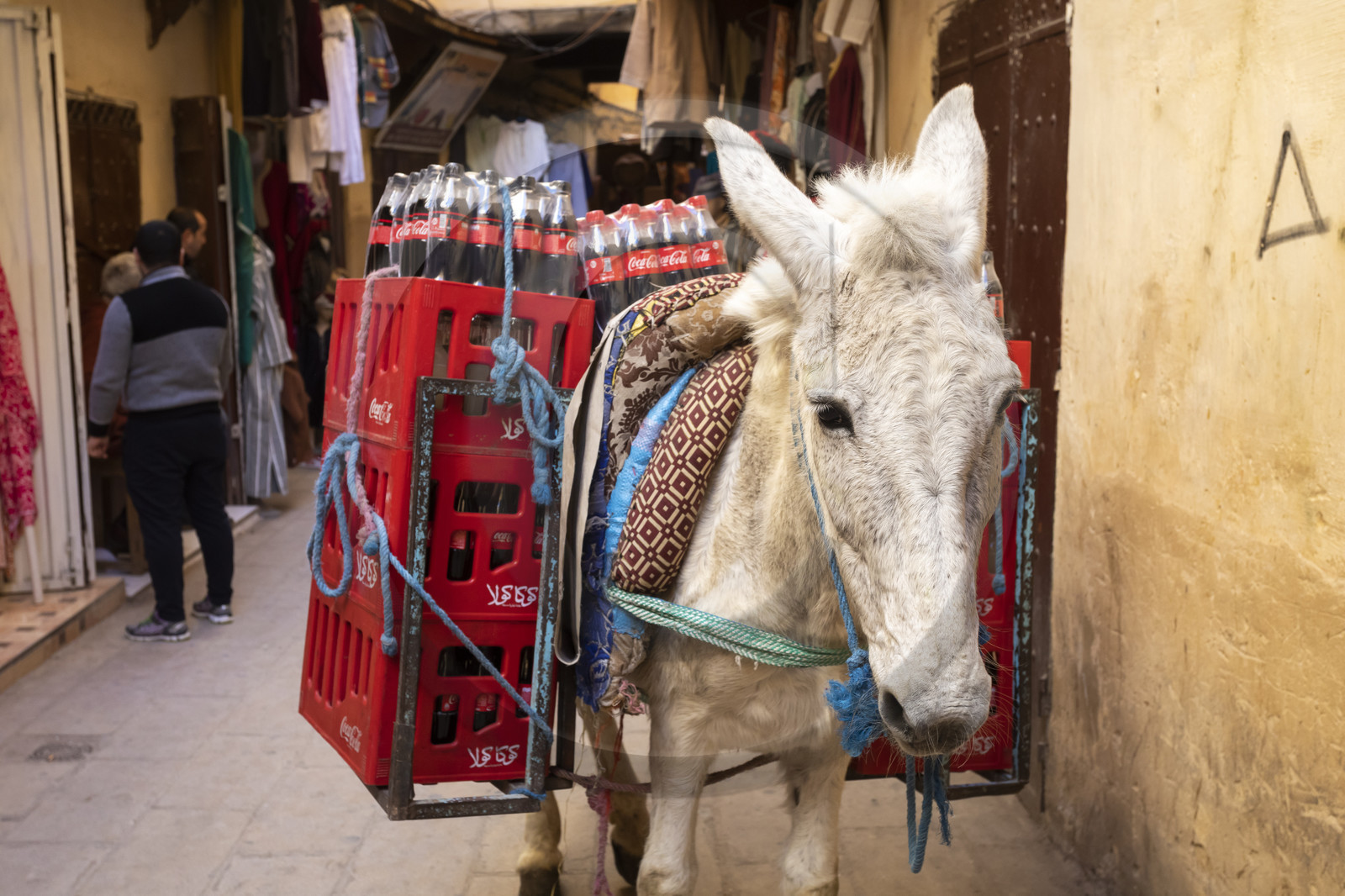 La Médina de Fès au Maroc