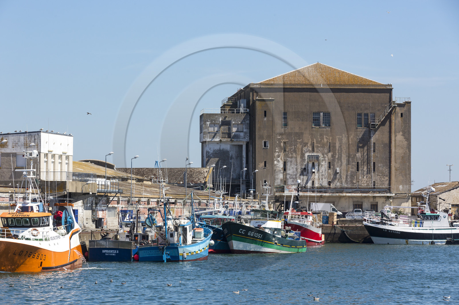Le port de pêche de Lorient