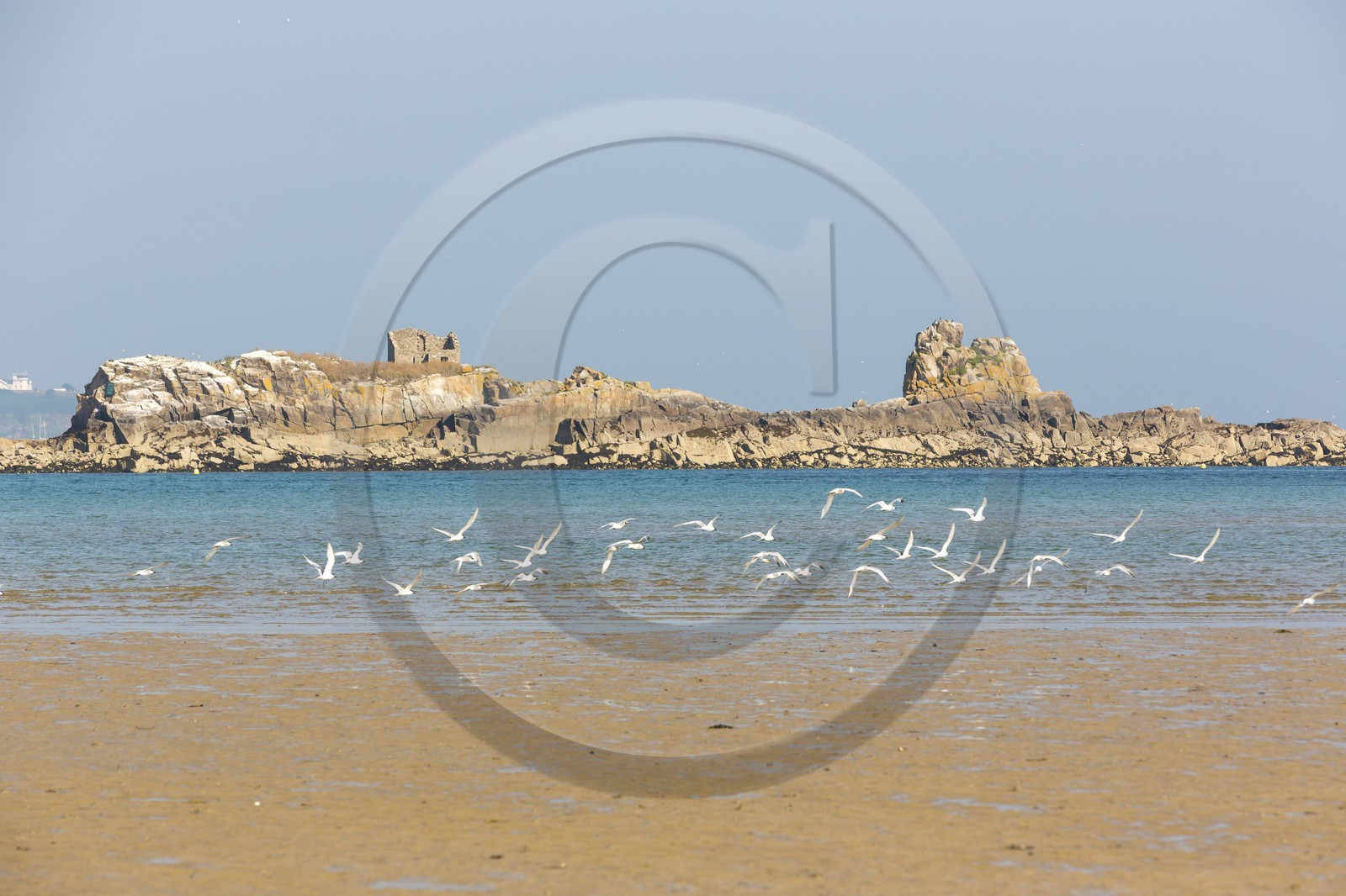 Archipel des Ebihens _ Saint-Jacut de la Mer