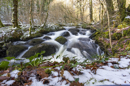 La forêt de Huelgoat, Finistère