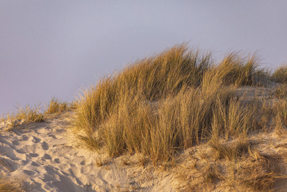 Plage de Kermabec à Tréguennec