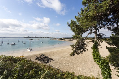 Ile des Ebihens _ Saint-Jacut de la mer