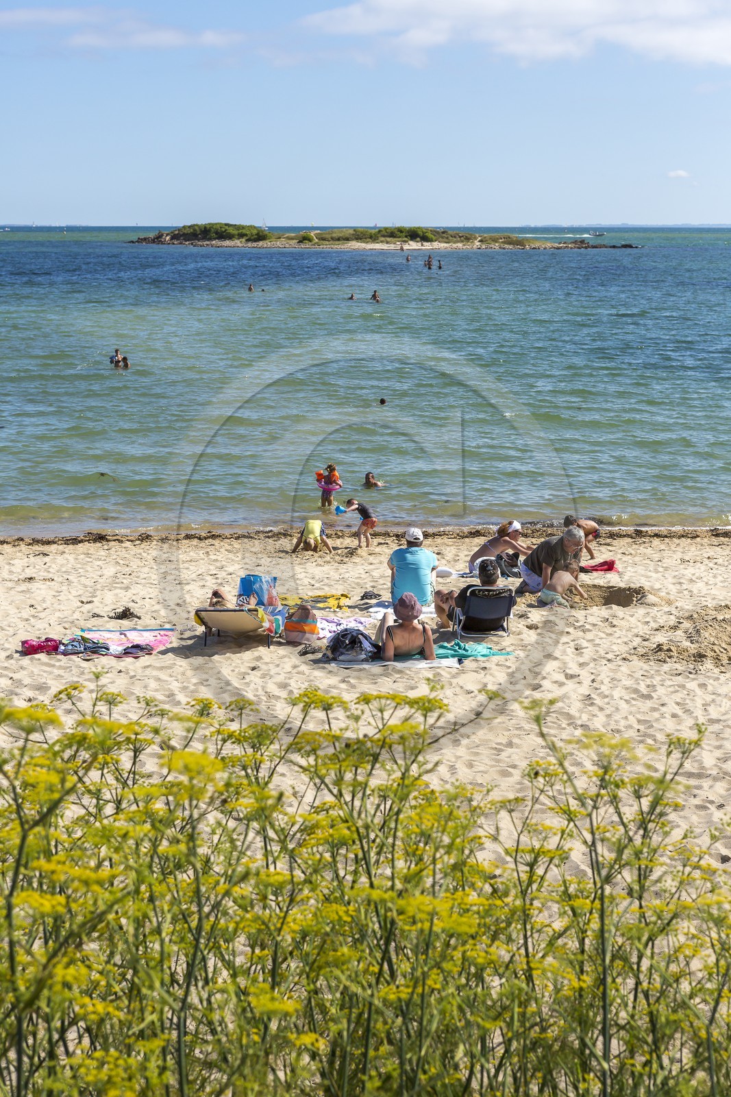 La plage du Men-du _ La Trinite sur mer