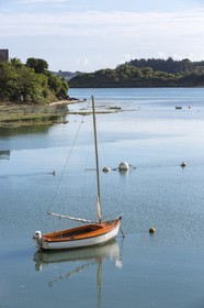 Le fleuve de l' arguenon