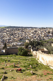 Vue sur la Médina de Fès au Maroc