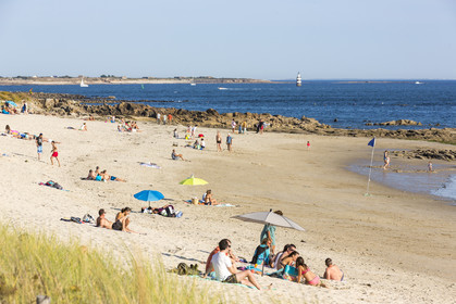 Kerguelen beach _ the reeds at Larmor-Plage