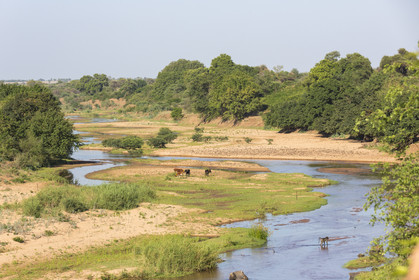 La rivière Letaba en bordure du parc Krüger_Afrique du Sud