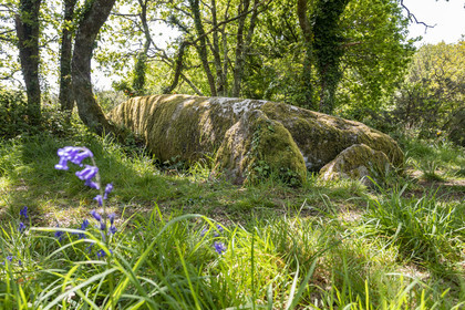 Dolmen de Men Hiaul (Kerblay) à Sarzeau