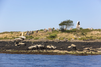 Er Lannic dans le golfe du Morbihan à Arzon