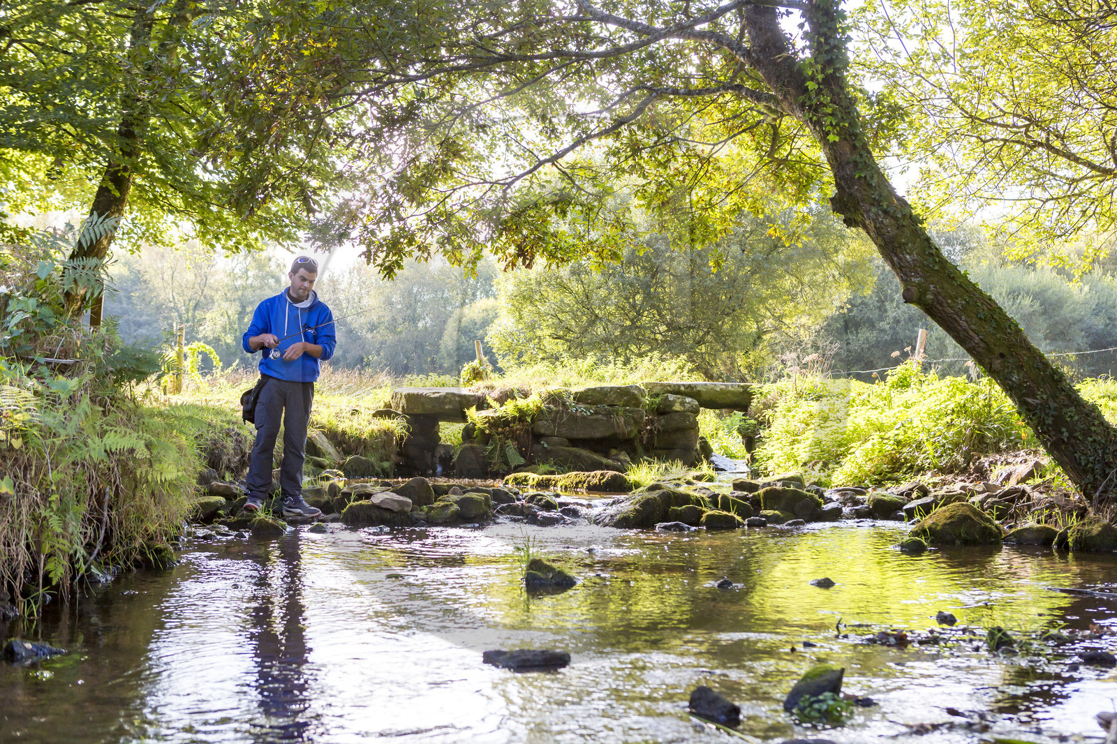 Ruisseau du Brandifout_Bubry