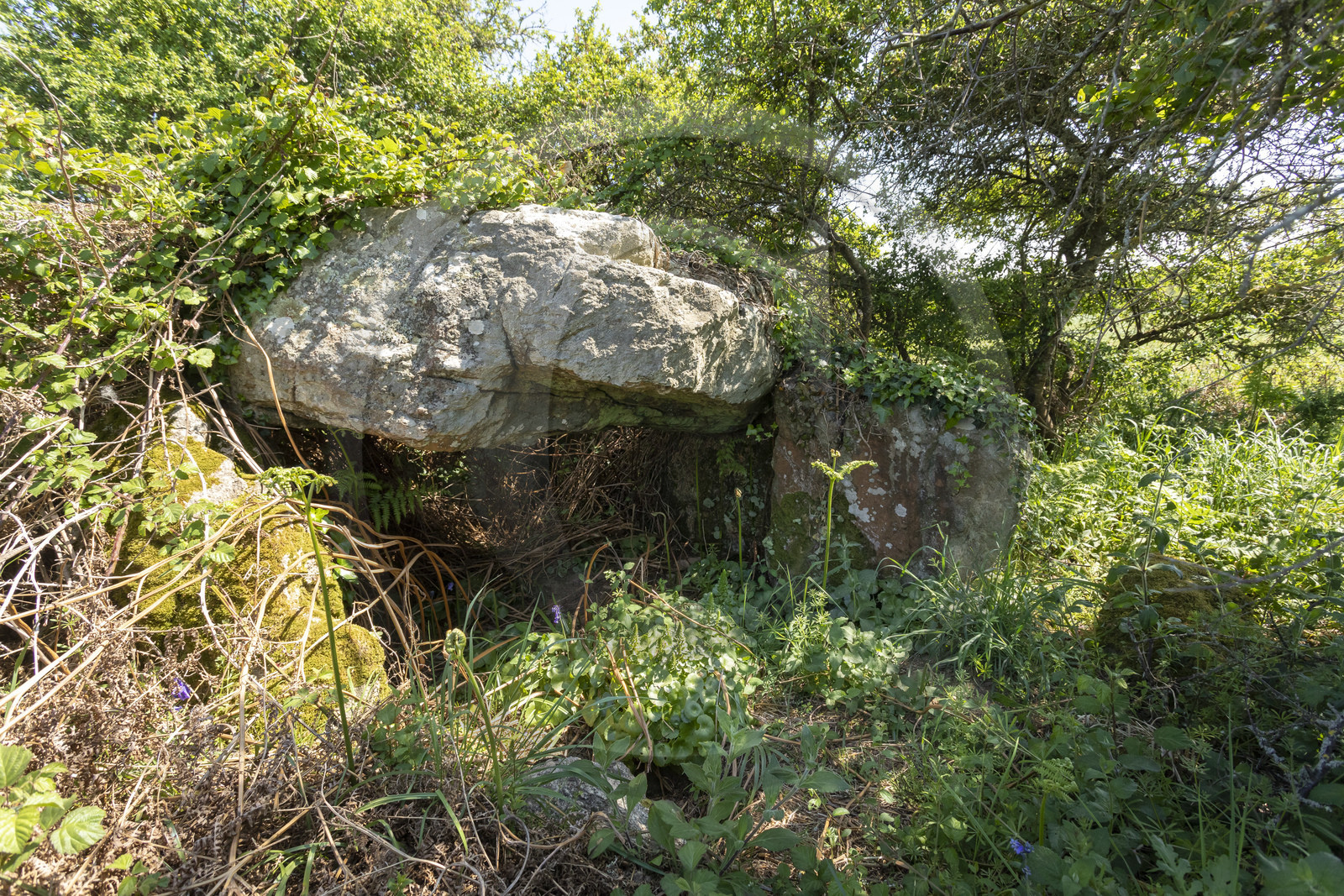 Allée couverte du Net _ Saint-Gildas-de-Rhuys