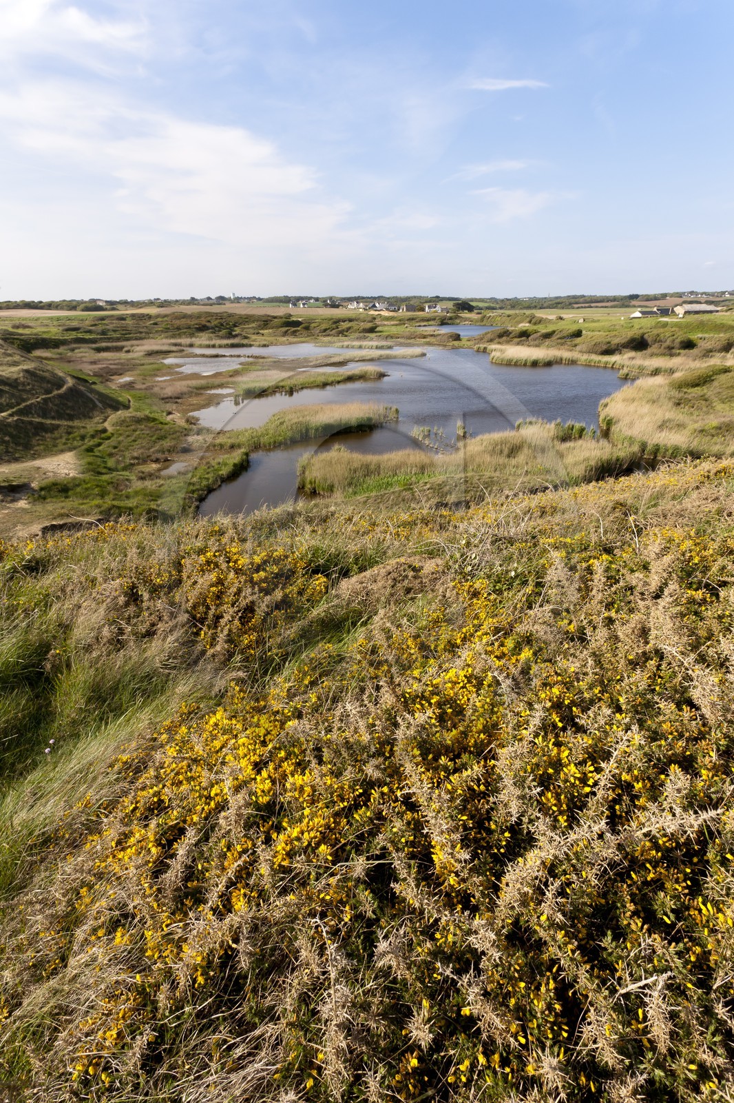 Pond of Loch _Guidel