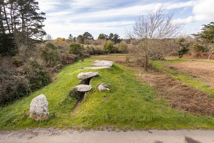 Dolmen du Graniol à Arzon