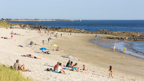 Plage de Kerguelen _ les roseaux à Larmor-Plage