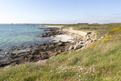 sentier littoral à Carnac