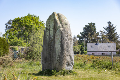 Le menhir de Kermaillard à Sarzeau