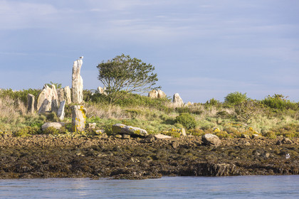 Er Lannic dans le golfe du Morbihan à Arzon