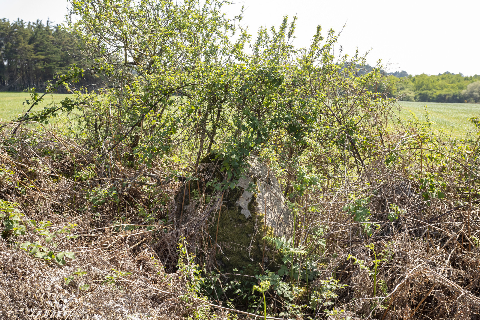 Allée couverte du Net _ Saint-Gildas-de-Rhuys