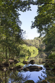 Le ruisseau du Gouyanzeur à Carnac