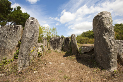 Ploemeur_Site du Cruguellic