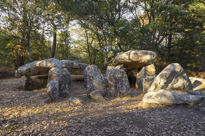 Dolmen de Kériaval