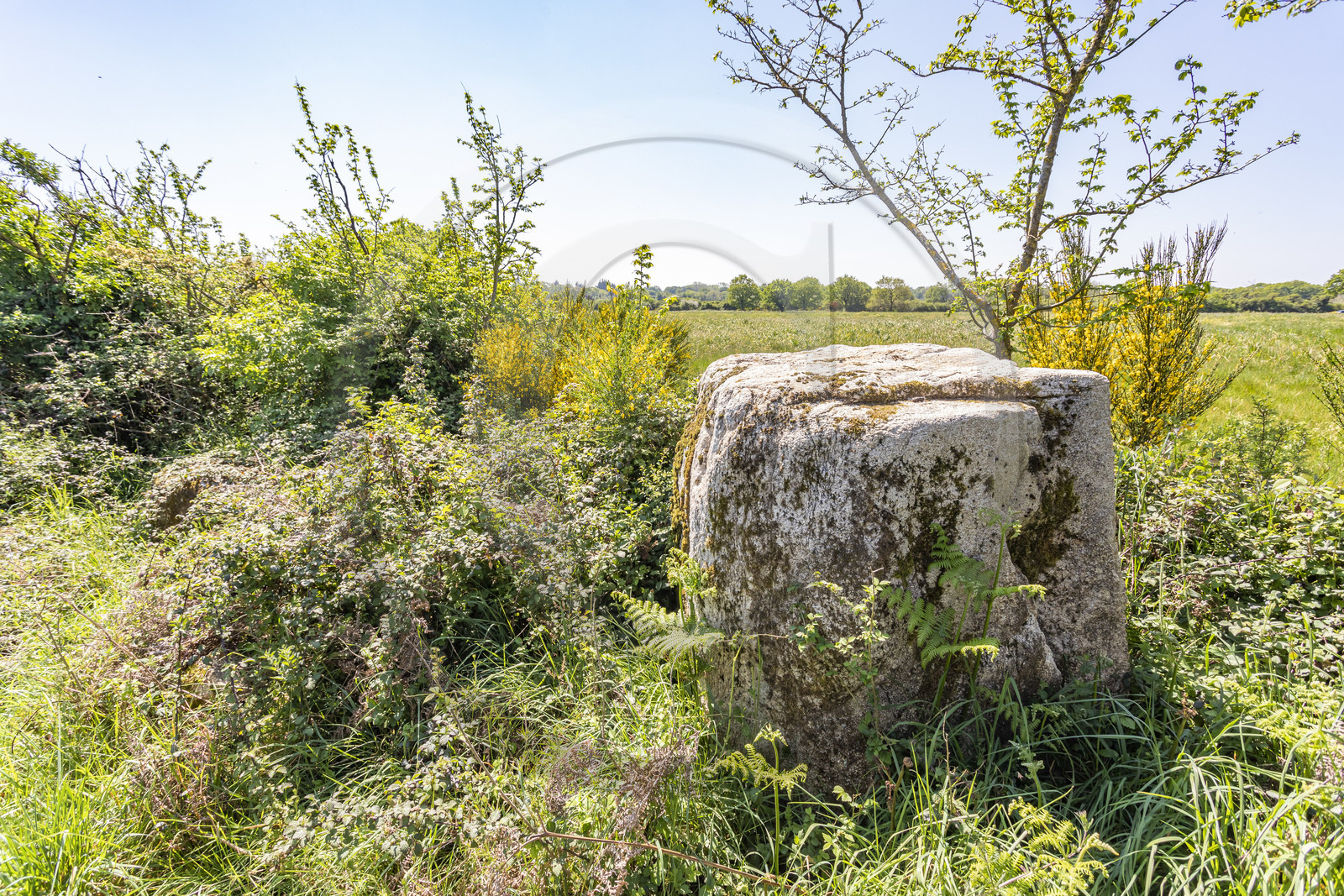 Menhir de Kerbigot à Sarzeau