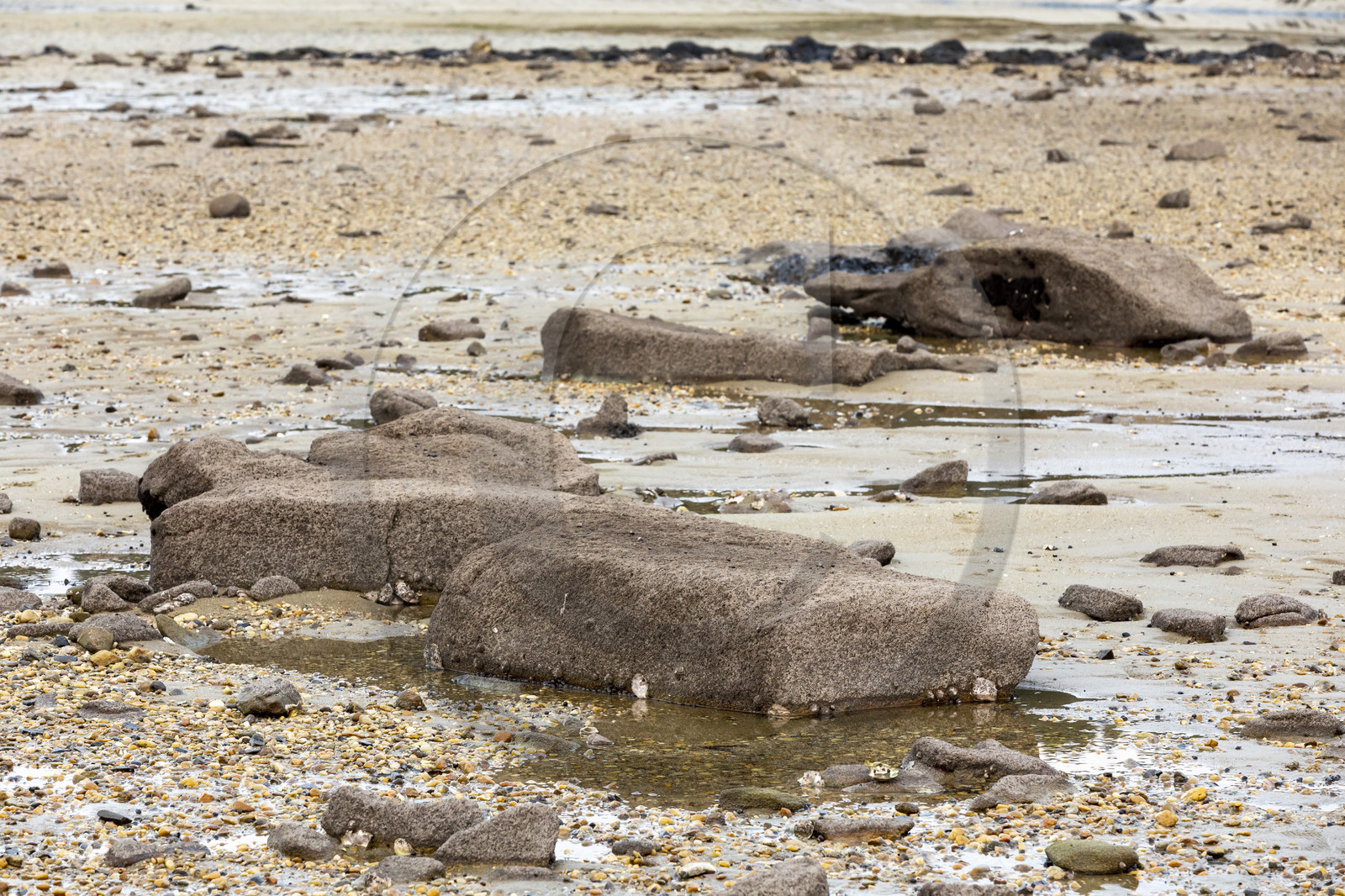 Alignements de Kerdual _ la Trinité sur Mer