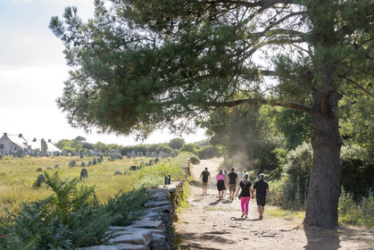 Alignements du Ménec à Carnac