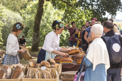 2016, Cider Festival in the village of Poul Fetan. Quistinic in the Morbihan
