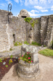 20080619_HennebontLes remparts d'Hennebont_Morbihan_Bretagne_France-8.jpg
