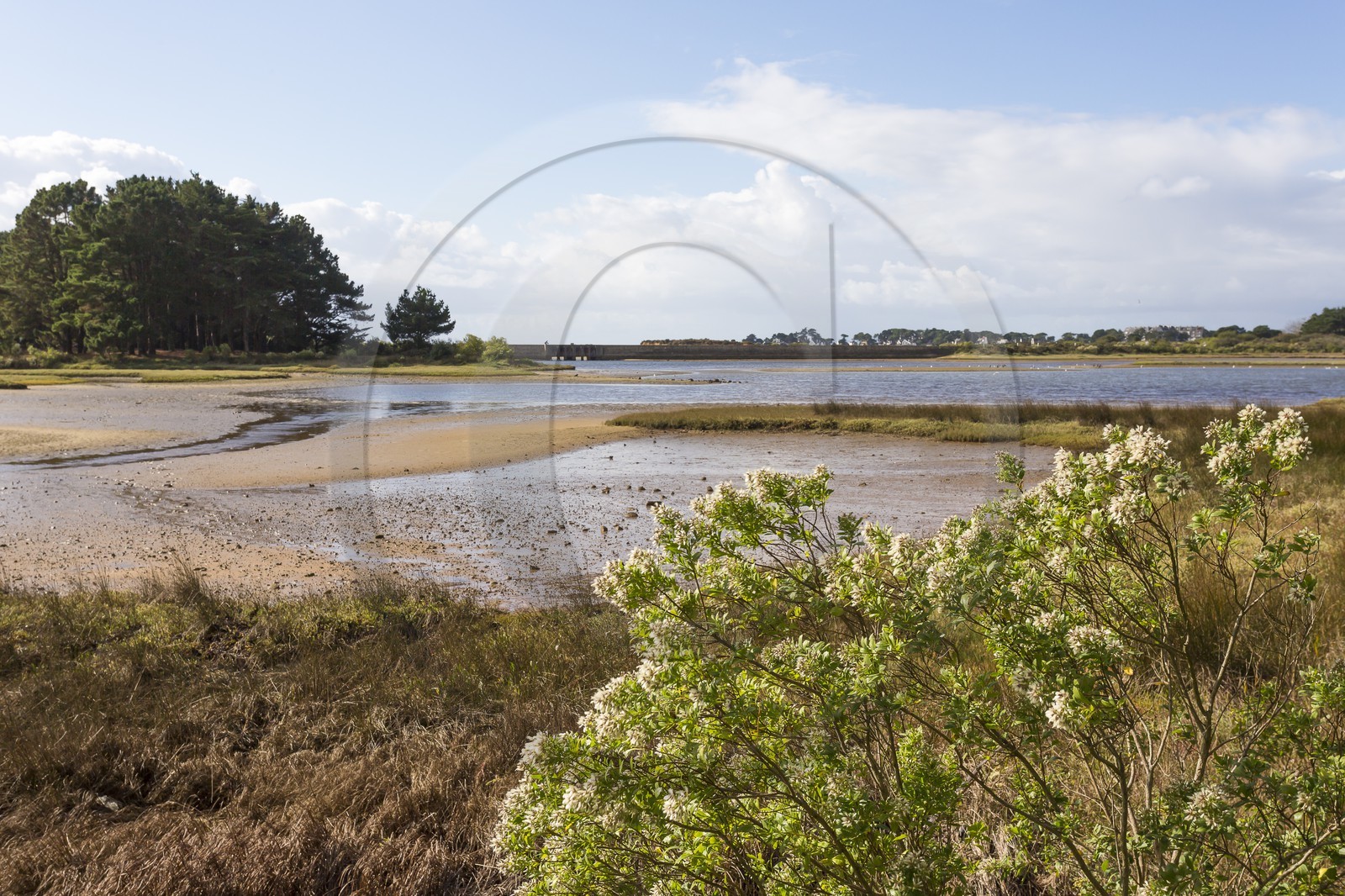 Sentier le long de l anse de Kerdual _ La Trinite sur Mer
