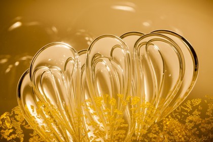 Bulles d'or
