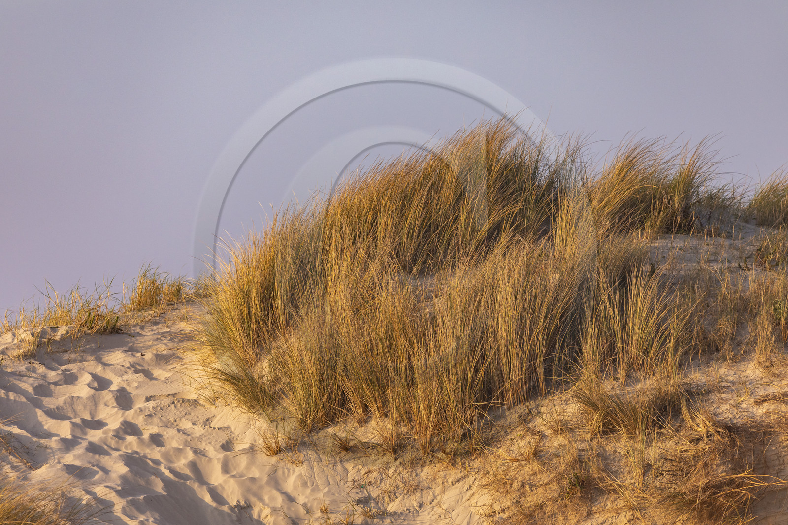 Plage de Kermabec à Tréguennec