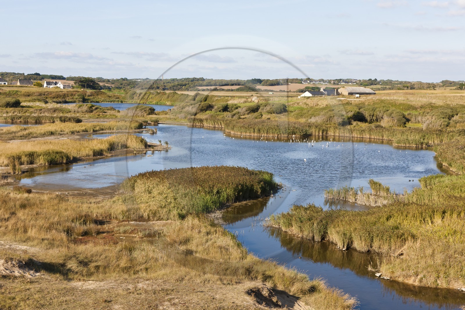 Etang du Loch - Guidel