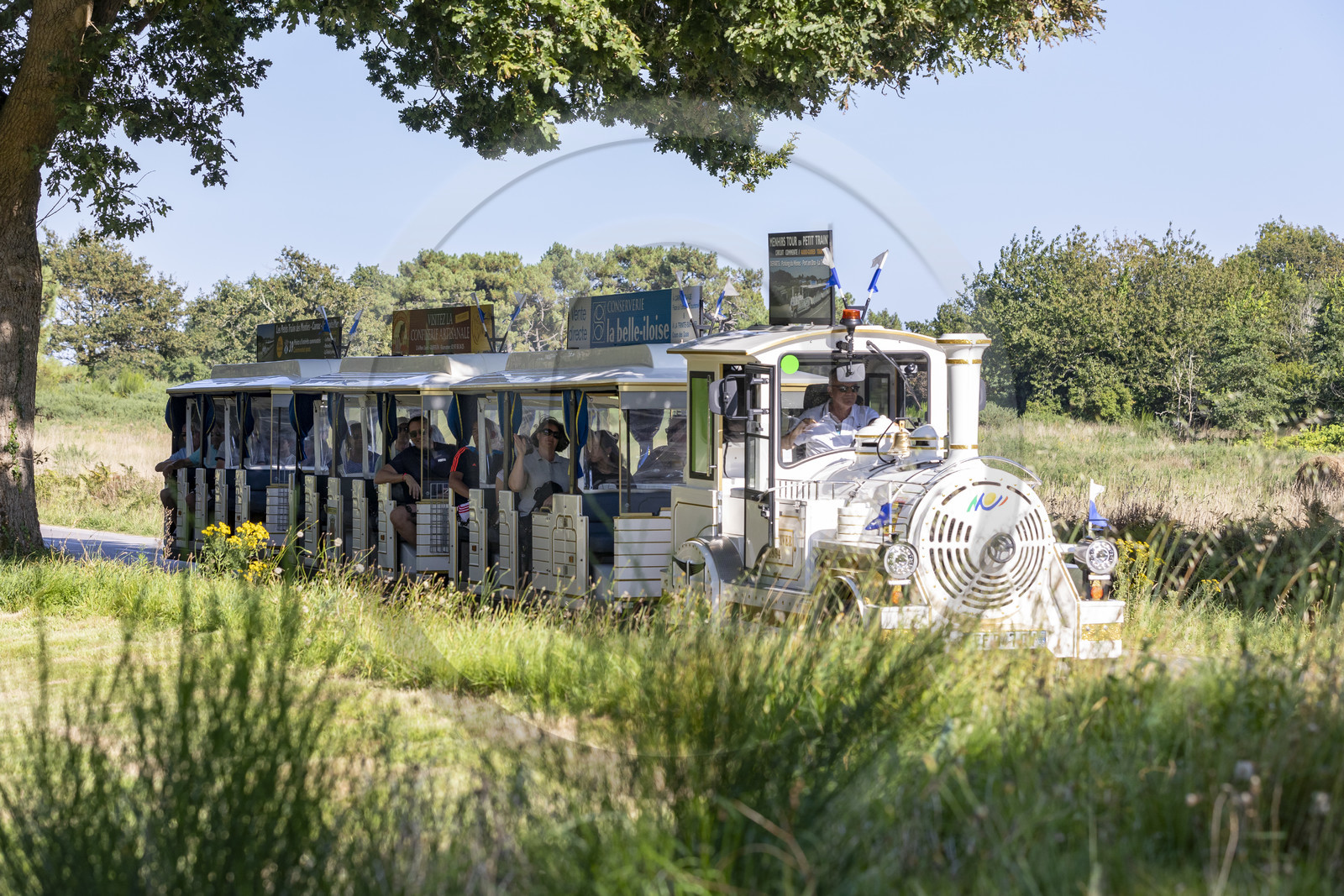 CARNAC _ Le petit train touristique _ ÉTÉ 2021