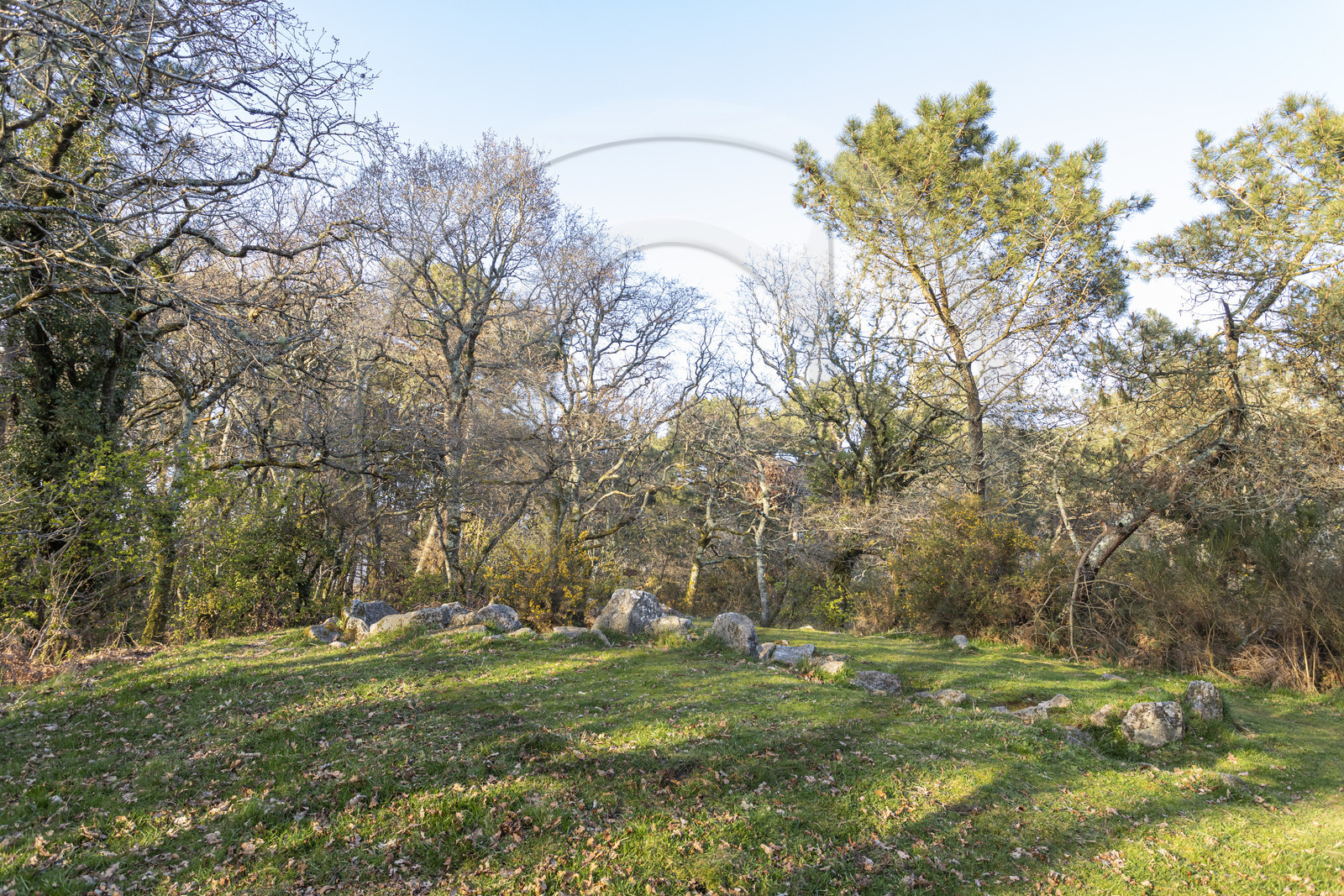 Le site mégalithiques de Mané Bogad à Ploemel