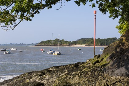 L' Arguenon