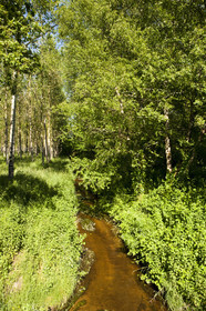 Le ruisseau le Rion sur la commune de Brandérion